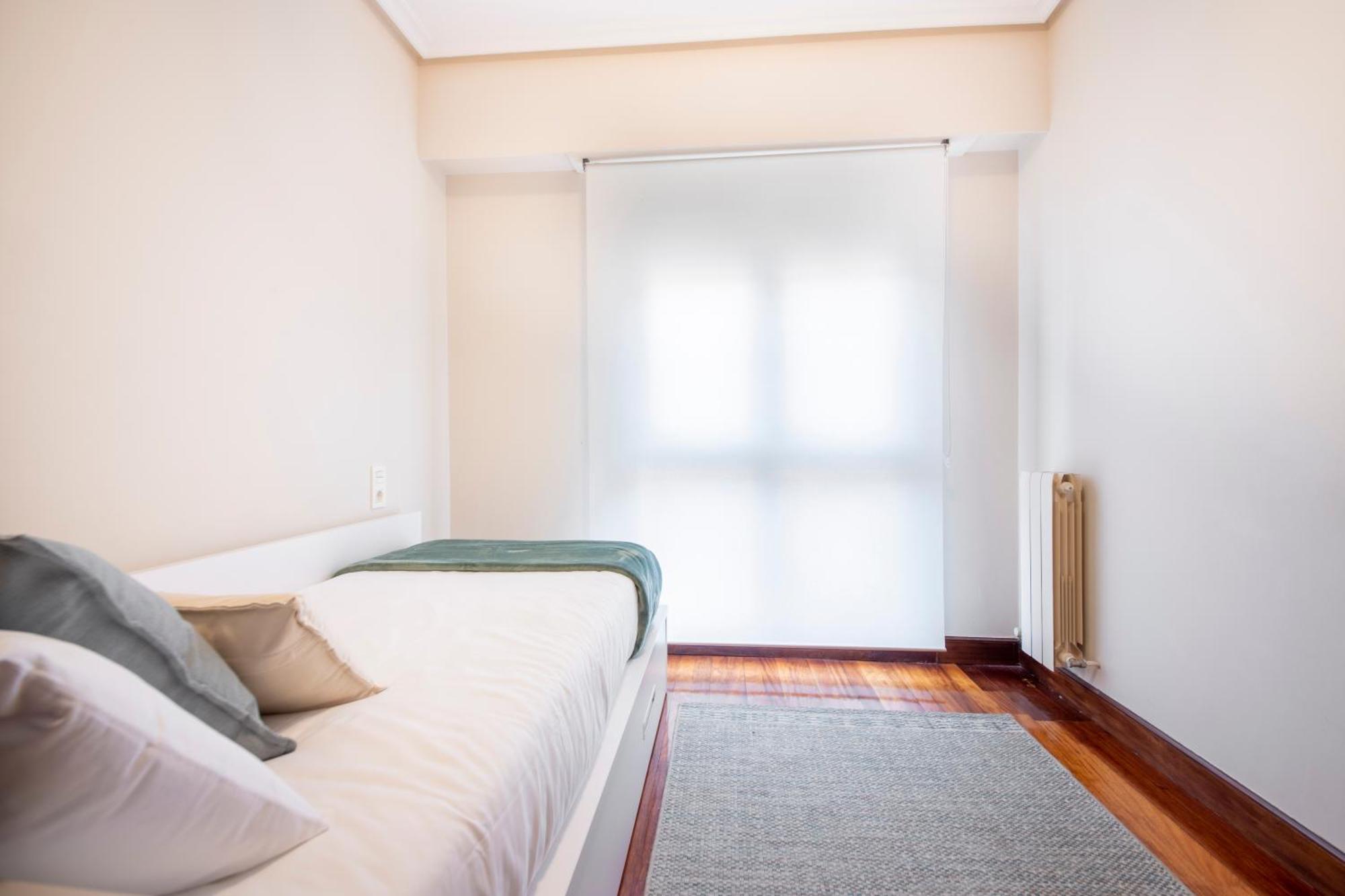 Plaza Pio XII Apartment ซานเซบาสเตียน ภายนอก รูปภาพ